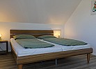 Inselblume 26
