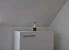 Inselblume 26