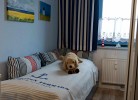 Einzelbett in der Ferienwohnung direkt am Südstrand von Fehmarn in Burgtiefe
