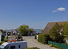Inselblume 60
