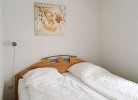 Inselblume 32