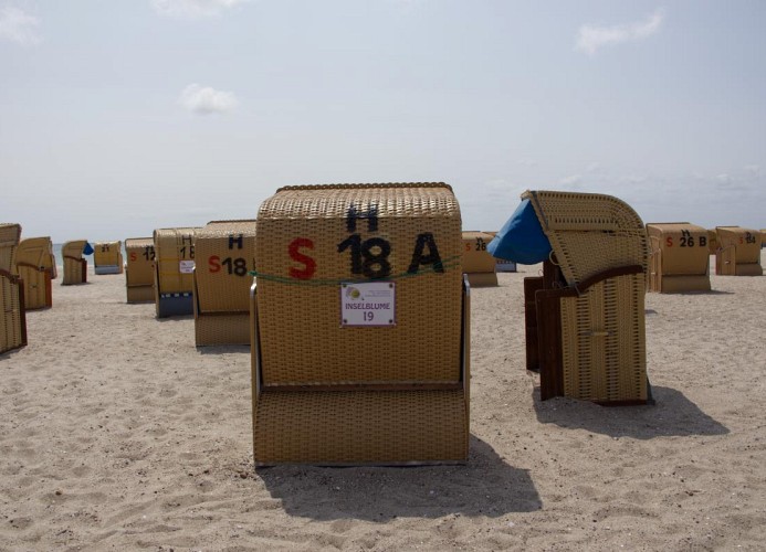 Strandkorb der Inselblume 19