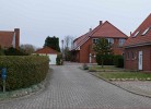 Inselblume 64
