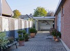 Inselblume 39