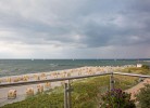 Inselblume 16 