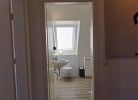 Inselblume 26