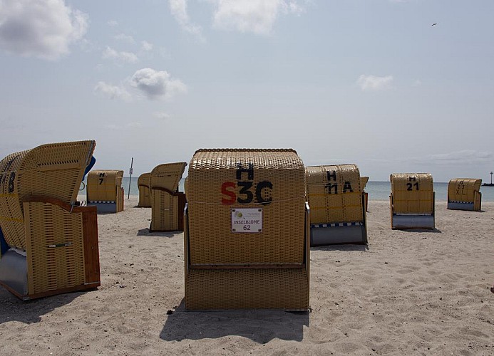 Strandkorb der Inselblume 62