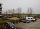 Inselblume 30
