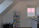 Inselblume 26