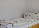 Inselblume 37