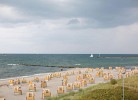 Inselblume 16 