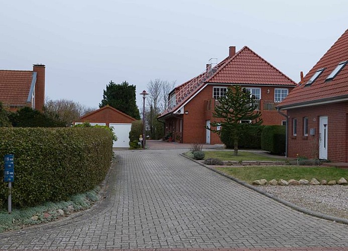 Straße zum Ferienhaus mit mehreren Ferienwohnungen mit Hund auf Fehmarn