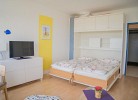 Inselblume 19