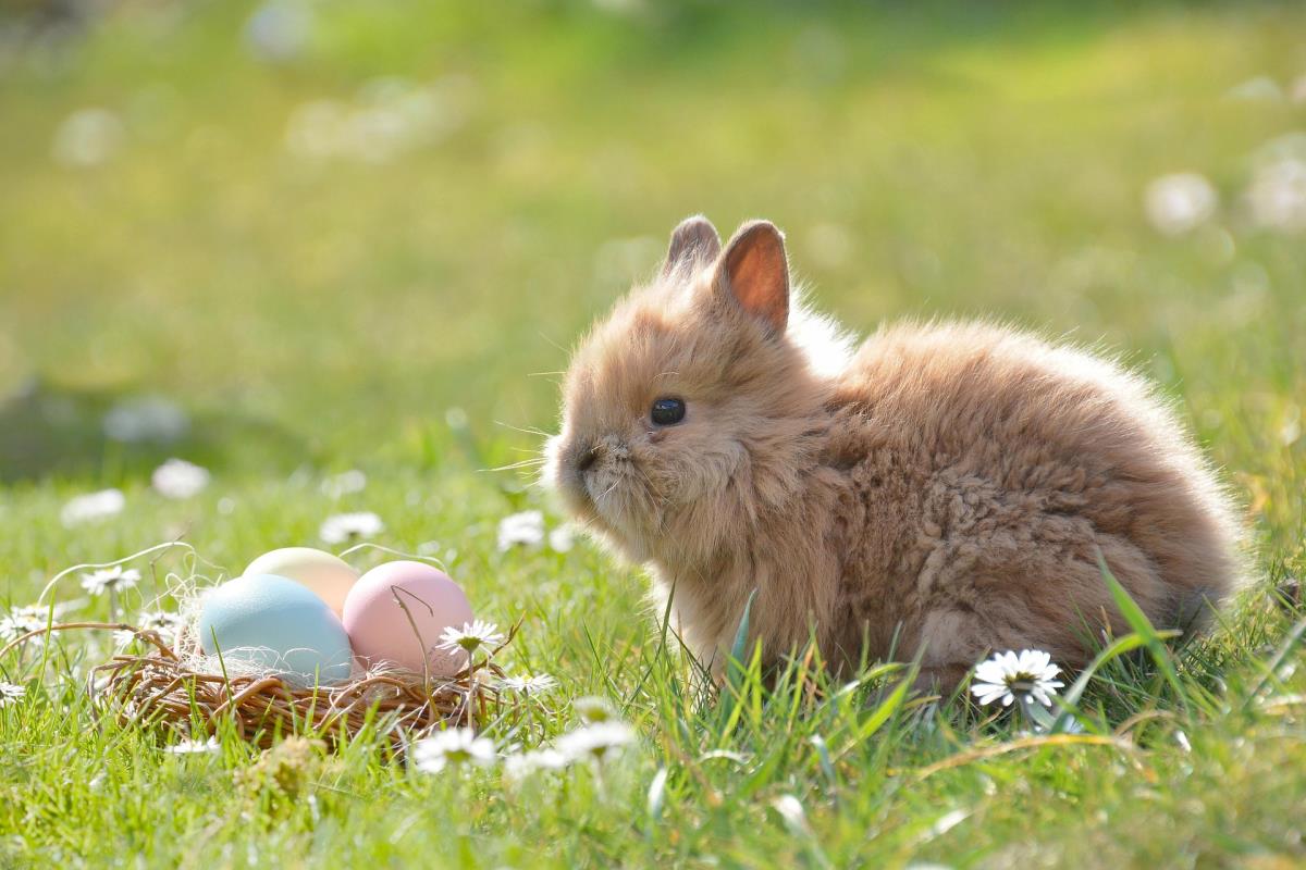 Ostern auf Fehmarn