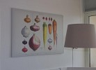 Inselblume 37