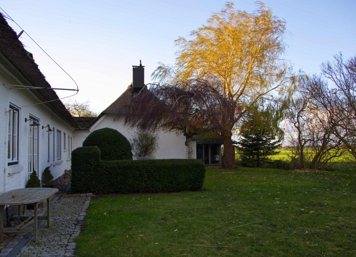 Inselblume 85 - vacation home with thatched roof Ostermarkelsdorf
