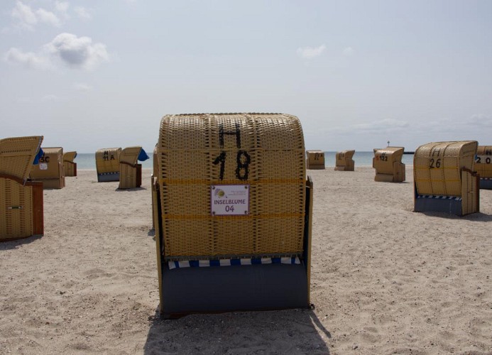 Zur Inselblume 04 gehört ein Strandkorb am Strand