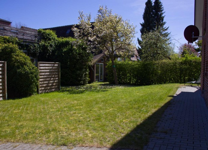 Inselblume 27