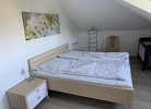 Inselblume 33