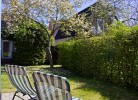 Inselblume 27