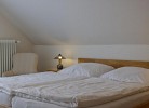 Inselblume 40