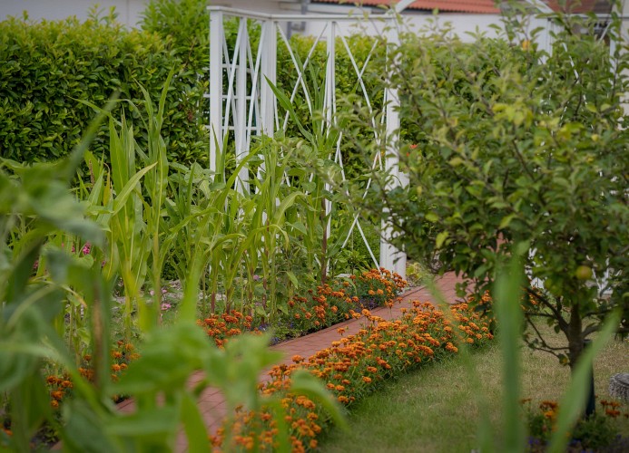 Garten der Ferienwohnung in Burg Nahe dem Südstrand