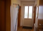 Inselblume 30
