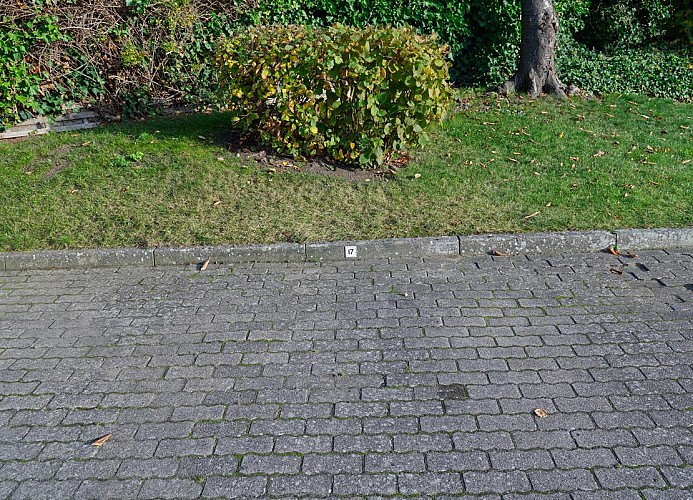 Parkplatz Nr. 17 für Ihre Fewo Inselblume 15 für 4 Personen in der Nähe von Burg auf Fehmarn