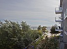 Inselblume 42
