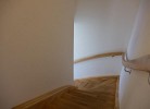 Inselblume 28