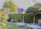 Inselblume 38