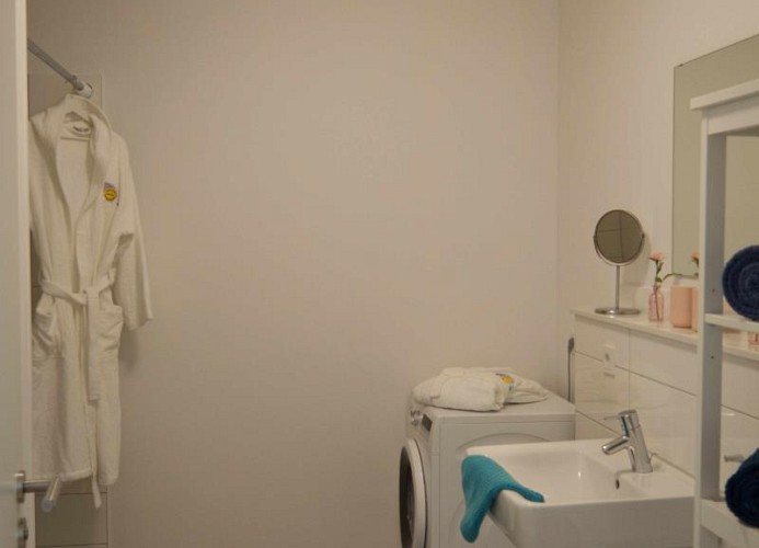 Bad mit Waschmaschine in der Ferienwohnung auf Fehmarn in Burg