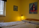 Inselblume 30