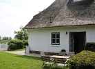 Inselblume 85