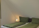 Inselblume 34