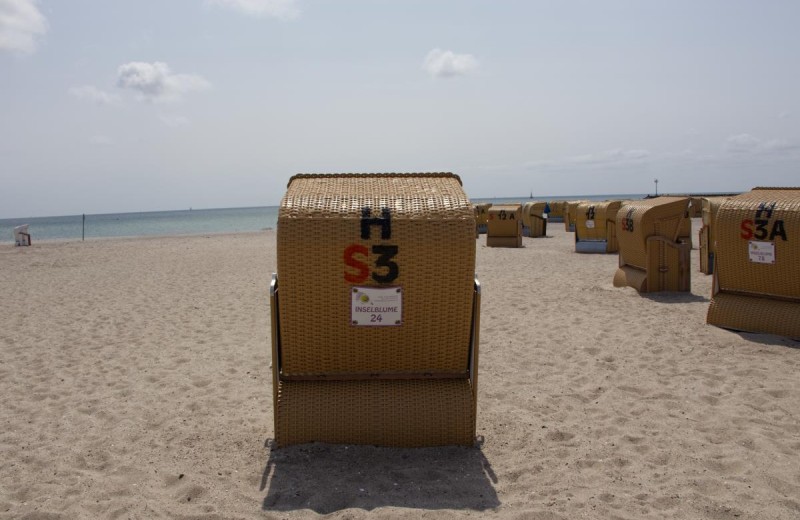 Strandkorb der Inselblume 24