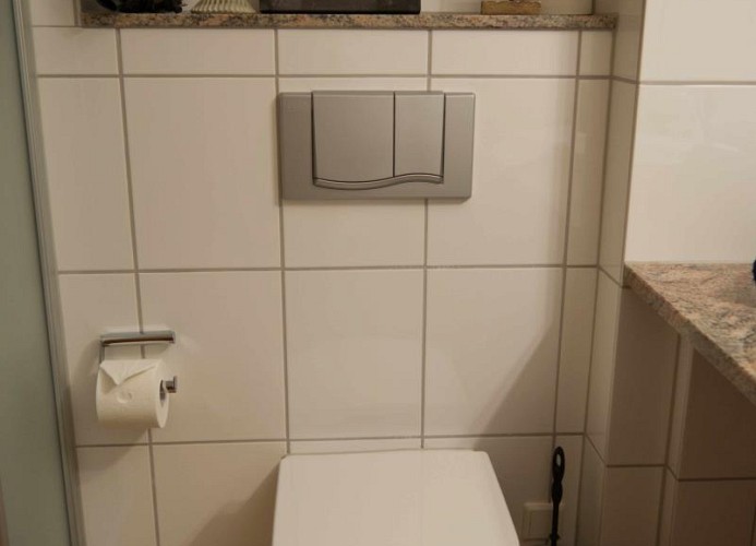 Toilette im Bad der Ferienwohnung mit Meerblick in Burgtiefe am Südstrand