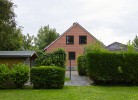 Inselblume 40
