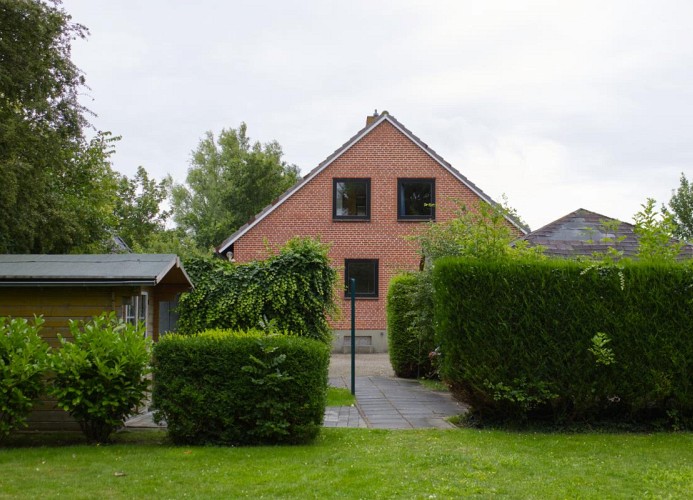 Inselblume 40