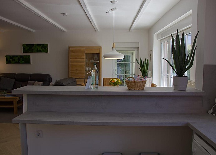 Ablage in der Küche in der Ferienwohnung mit Hund für 4 Personen