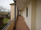 Inselblume 30