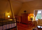 Inselblume 84