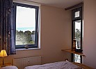 Inselblume 42