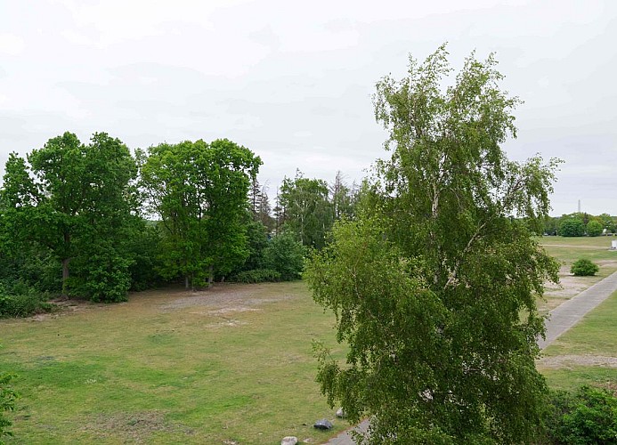 Große Wiese neben der Strandburg zwischen Südstrand und Yachthafen auf Fehmarn